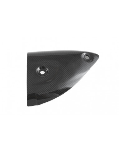 Left exhaust Protector for TERMIGNONI Panigale FULLSIX