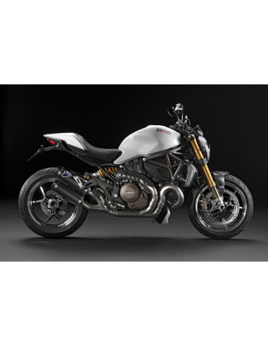 DUCATI MONSTER 821 96480461A