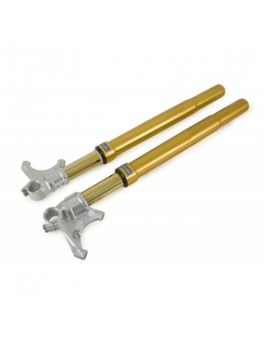 Öhlins inverted fork Road & Track FGRT PANIGALE 899 / 959 / V2 / V4